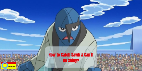 shiny sawk